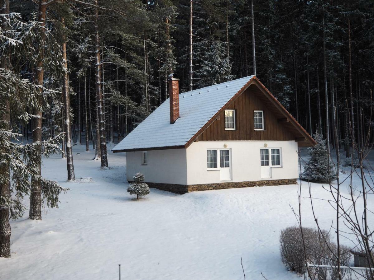 Lojzovy Paseky Hotel Frymburk Luaran gambar